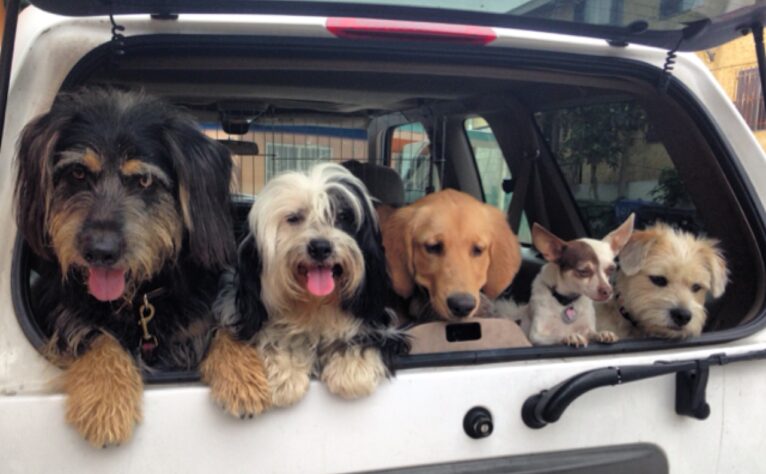 Eric and Lori