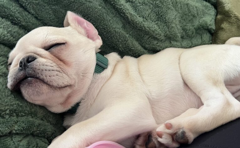 Clayton and Sarah